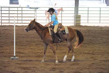 DSC_0288