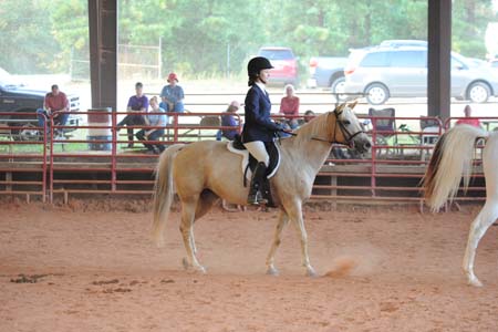 DSC_7287