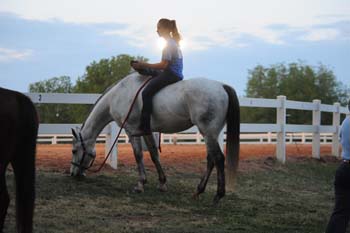 DSC_5464