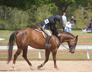 DSC_4520