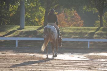 DSC_5316