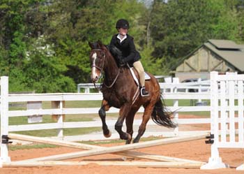 DSC_2245